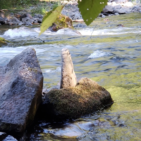 Meet your Posher, Karin - Picture 4 of 6